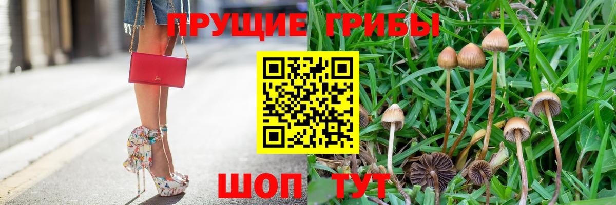 Галлюциногенные грибы GOLDEN TEACHER Самара